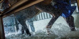 Equine Water Treadmill