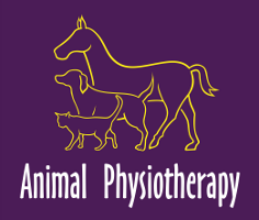 Animal Physiotherapy