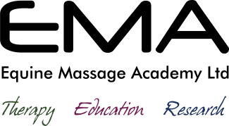 ema logo